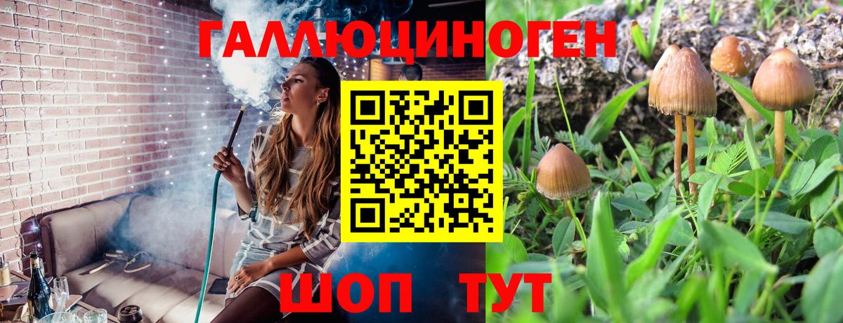 Галлюциногенные грибы Cubensis  Галлюциногенные грибы Psilocybine cubensis  Москва  Вход с VPN 